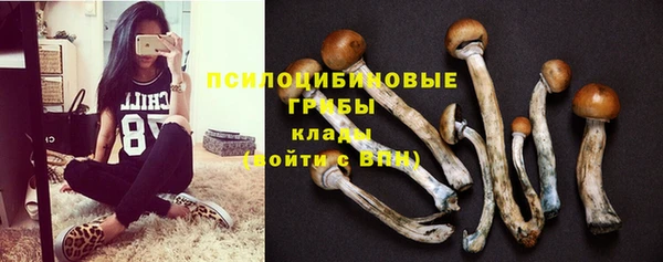 прущие крисы Аркадак