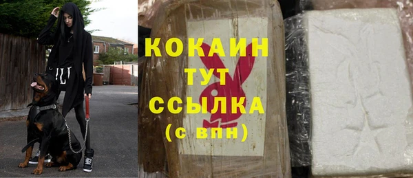 прущие крисы Аркадак